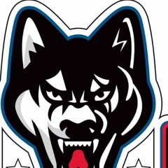 Huskies USA wolf logo